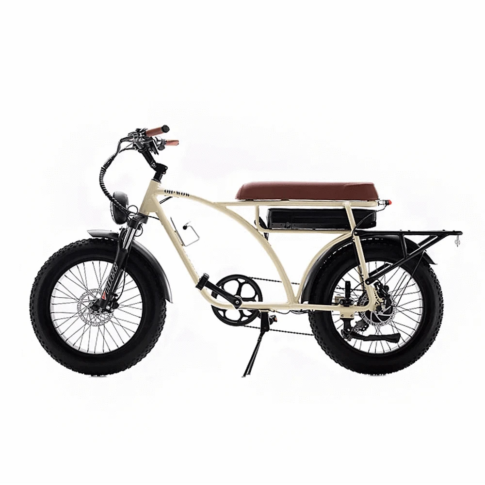 Voltaic 750 Electric Bike 330 lb Load 25 MPH / 60 Mile Range - eBoarders