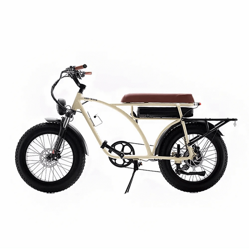 Voltaic 750 Electric Bike 330 lb Load 25 MPH / 60 Mile Range - eBoarders
