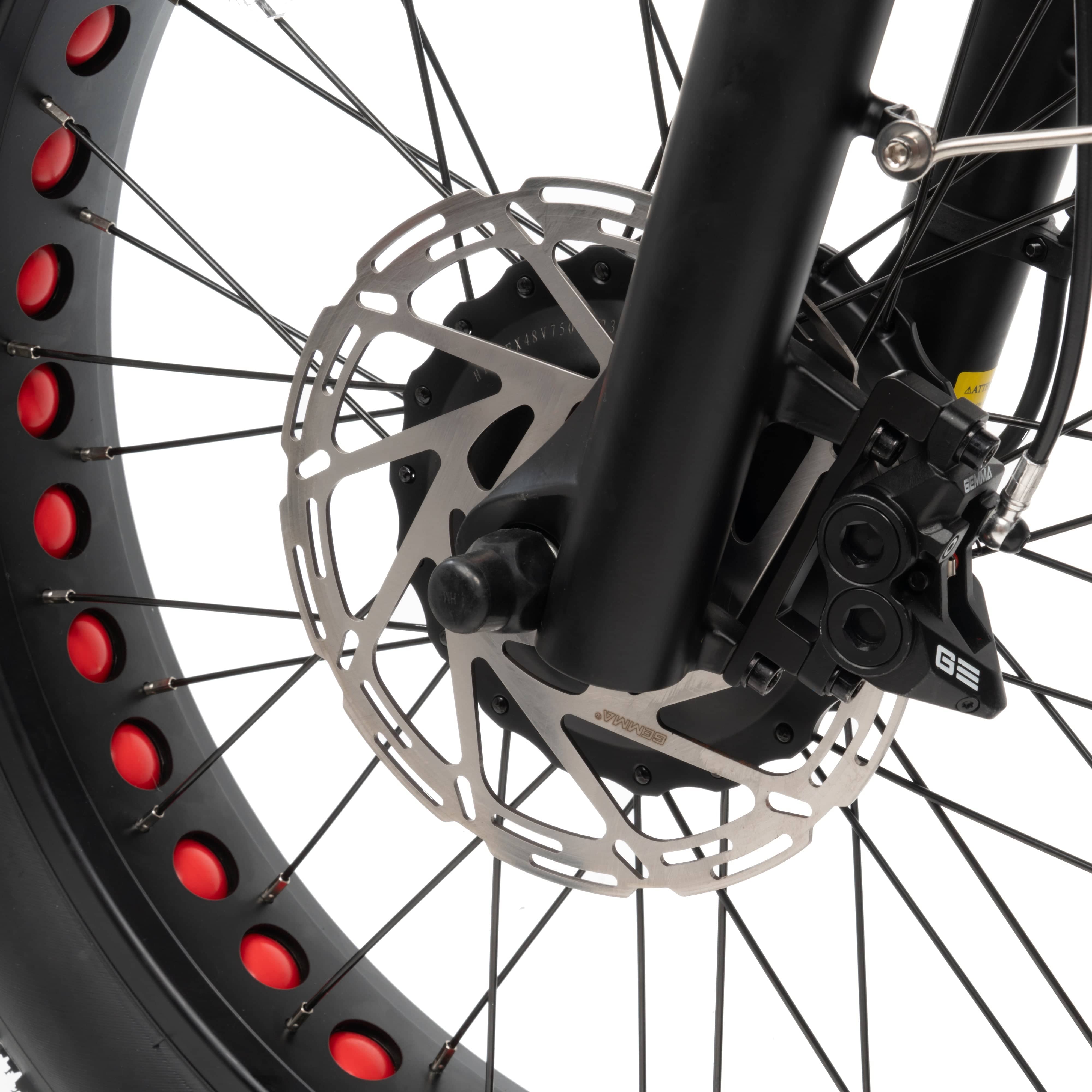 Conductor 3-Seat Rickshaw Fat Tire E-Trike 30 mph / 70 Mile Range - eBoarders