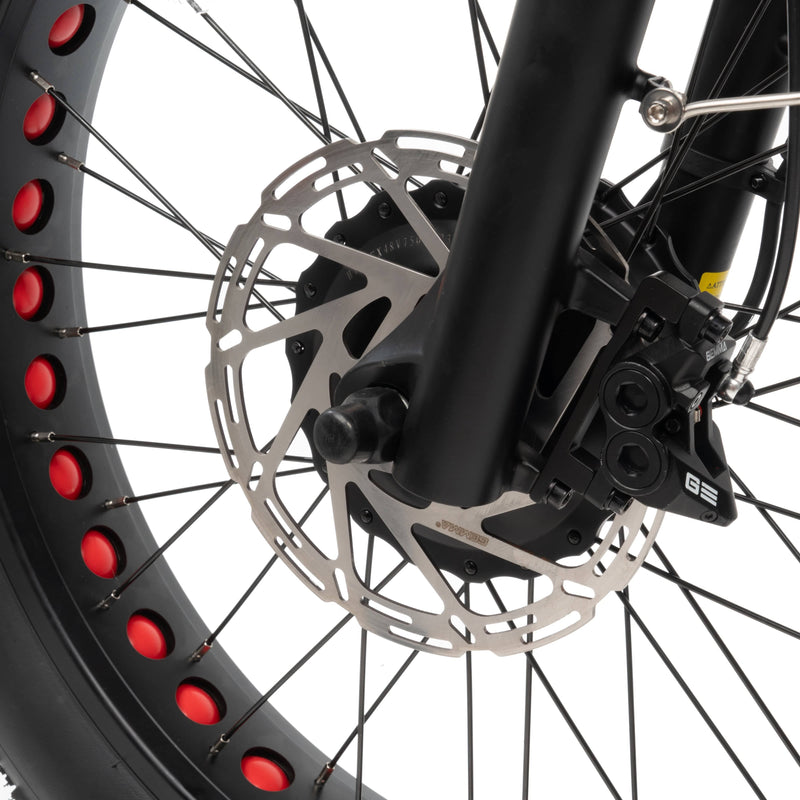 Conductor 3-Seat Rickshaw Fat Tire E-Trike 30 mph / 70 Mile Range - eBoarders