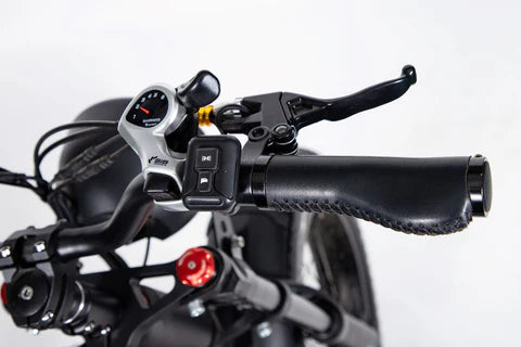 SoverSky TS75 Titan 01 20inch Fat Tire Lithium peda-assisted electric Bicycle 30 MPH, 45 mile pedal-assist battery range. Free shipping at e-Boarders.com