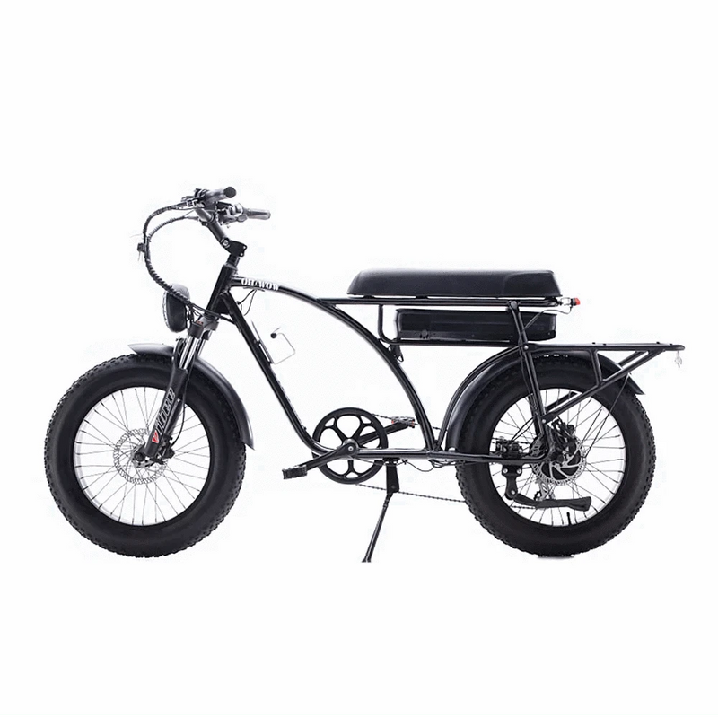 Voltaic 750 Electric Bike 330 lb Load 25 MPH / 60 Mile Range - eBoarders