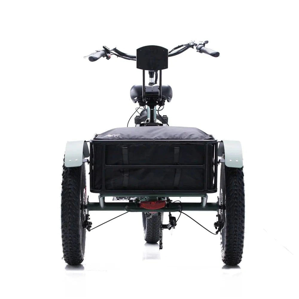 Conductor 750 Cargo Electric E-Trike 26 MPH / 50 Mile Range - eBoarders