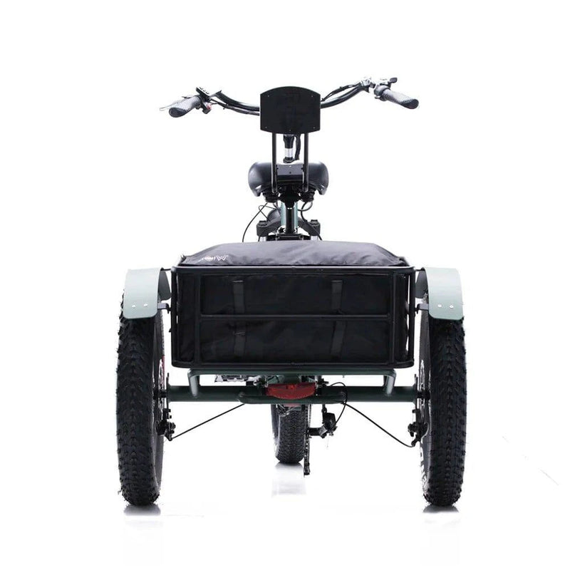 Conductor 750 Cargo Electric E-Trike 26 MPH / 50 Mile Range - eBoarders