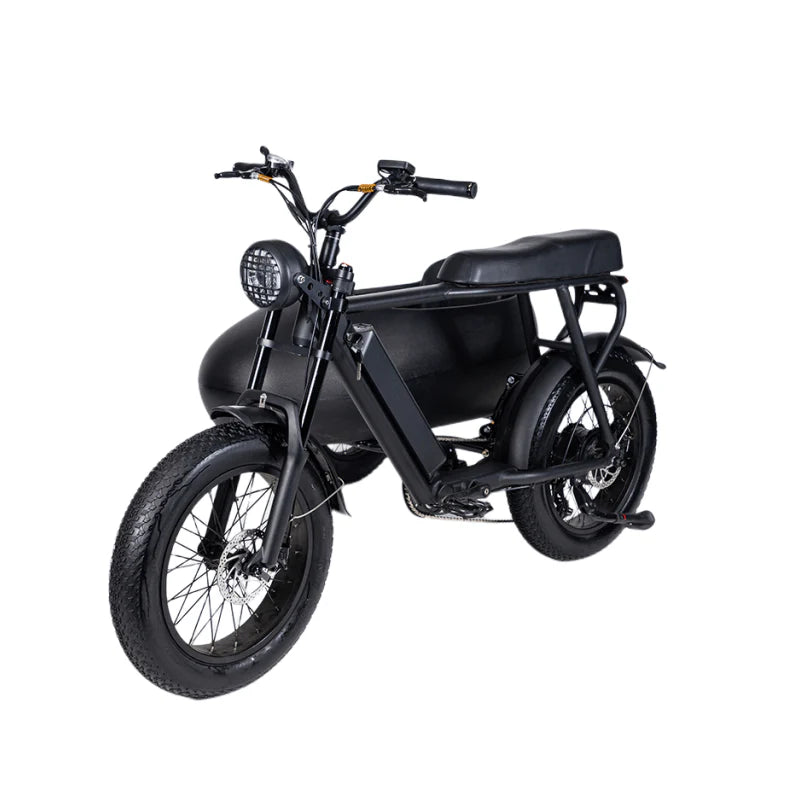 SoverSky Titan 01 20inch Fat Tire Lithium peda-assisted electric Bicycle 30 MPH, 45 mile pedal-assist battery range with Sidecar add-on option for S Free shipping at e-Boarders.com