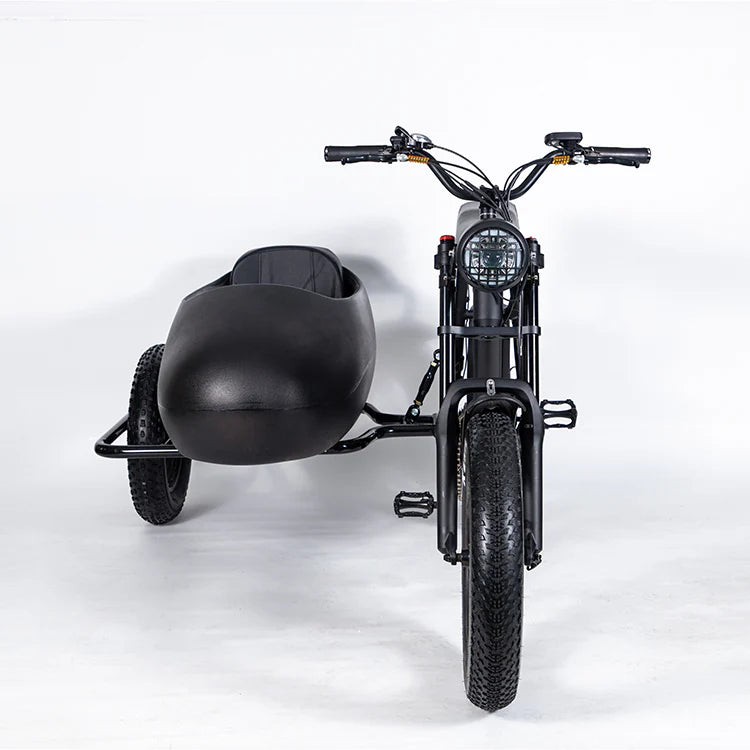 SoverSky Titan 01 20inch Fat Tire Lithium peda-assisted electric Bicycle 30 MPH, 45 mile pedal-assist battery range with Sidecar add-on option for S Free shipping at e-Boarders.com