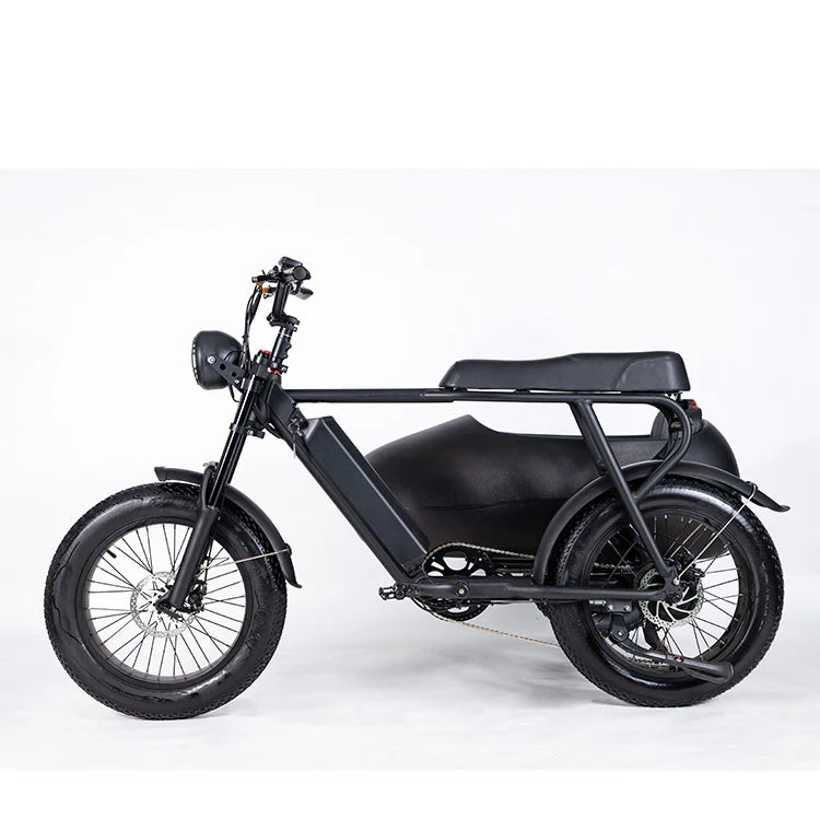 SoverSky Titan 01 20inch Fat Tire Lithium peda-assisted electric Bicycle 30 MPH, 45 mile pedal-assist battery range with Sidecar add-on option for S Free shipping at e-Boarders.com