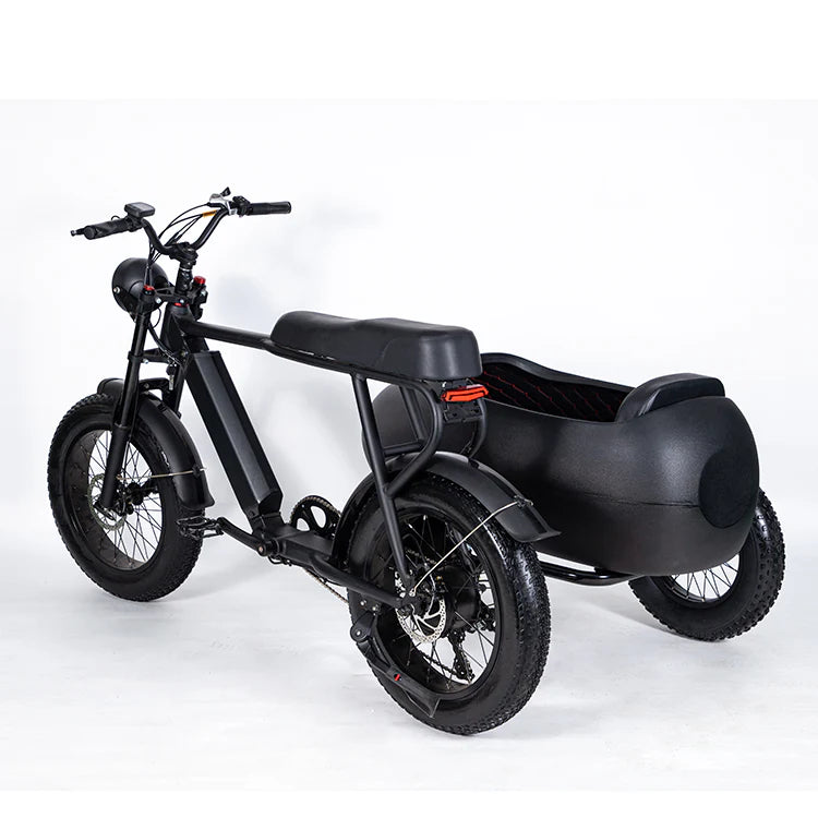 SoverSky Titan 01 20inch Fat Tire Lithium peda-assisted electric Bicycle 30 MPH, 45 mile pedal-assist battery range with Sidecar add-on option for S Free shipping at e-Boarders.com