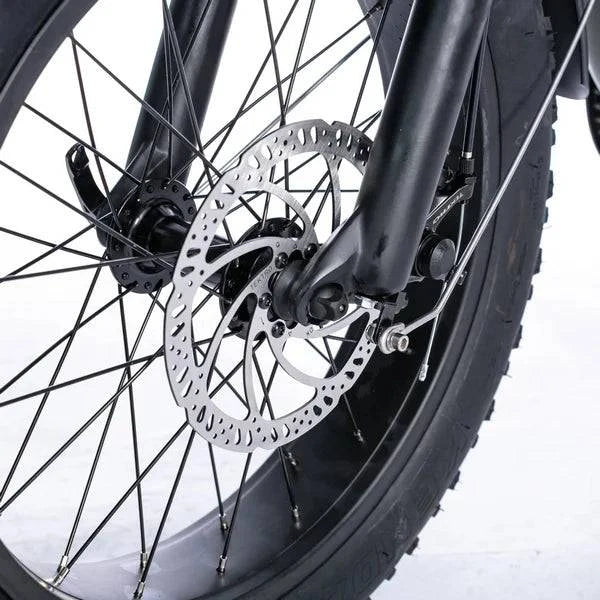 Voltaic 500 Electric Bike 25 MPH / 30 Mile Range - eBoarders
