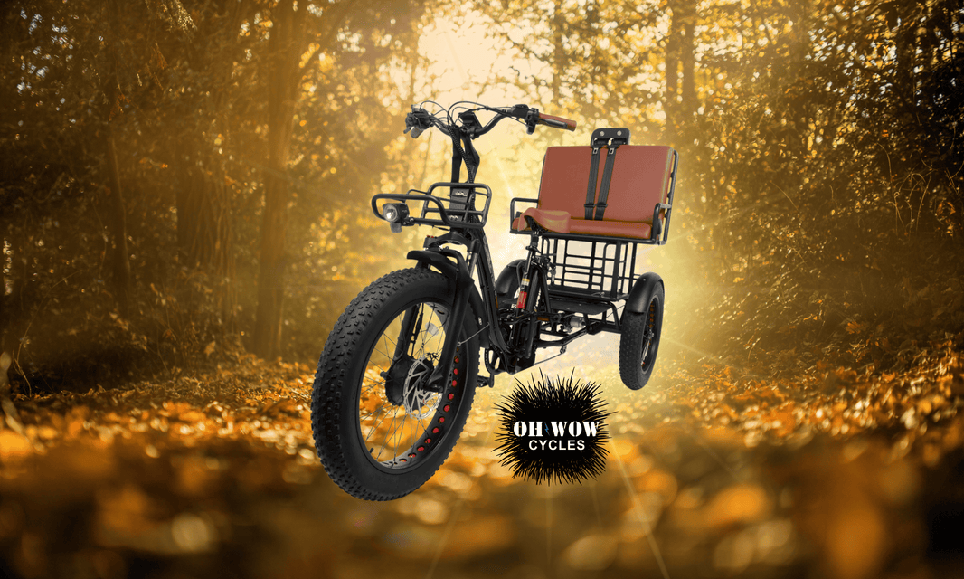 Oh Wow Cycles Conductor Plus Rickshaw Cargo Electric Trike available at E-Boarders.com