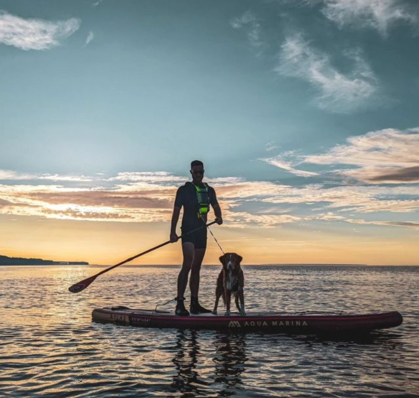 Inflatable & electric paddleboards from E-Boarders. Shop youth, hybrid, LED glow & power-assisted iSUPs for lakes, rivers & rentals. Ships free at e-boarders.com