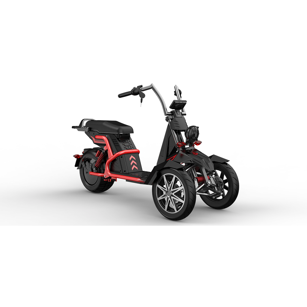 SOVERSKY 4000w Three Wheeled Motorcyle E-Trike 50Ah Li-Battery SoverSky T100