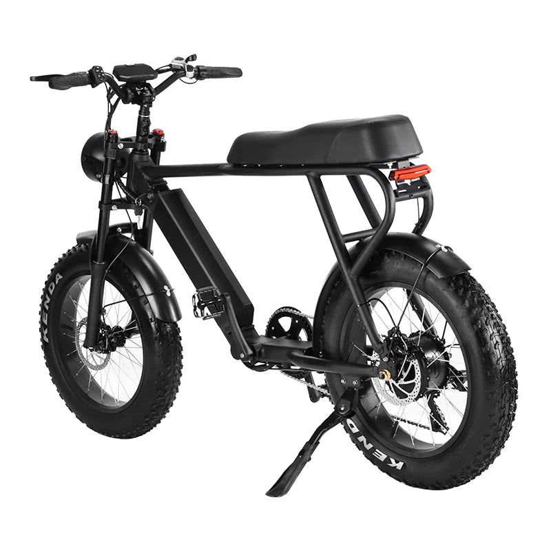 SoverSky TS75 Electric E-Bike with SideCar - eBoarders