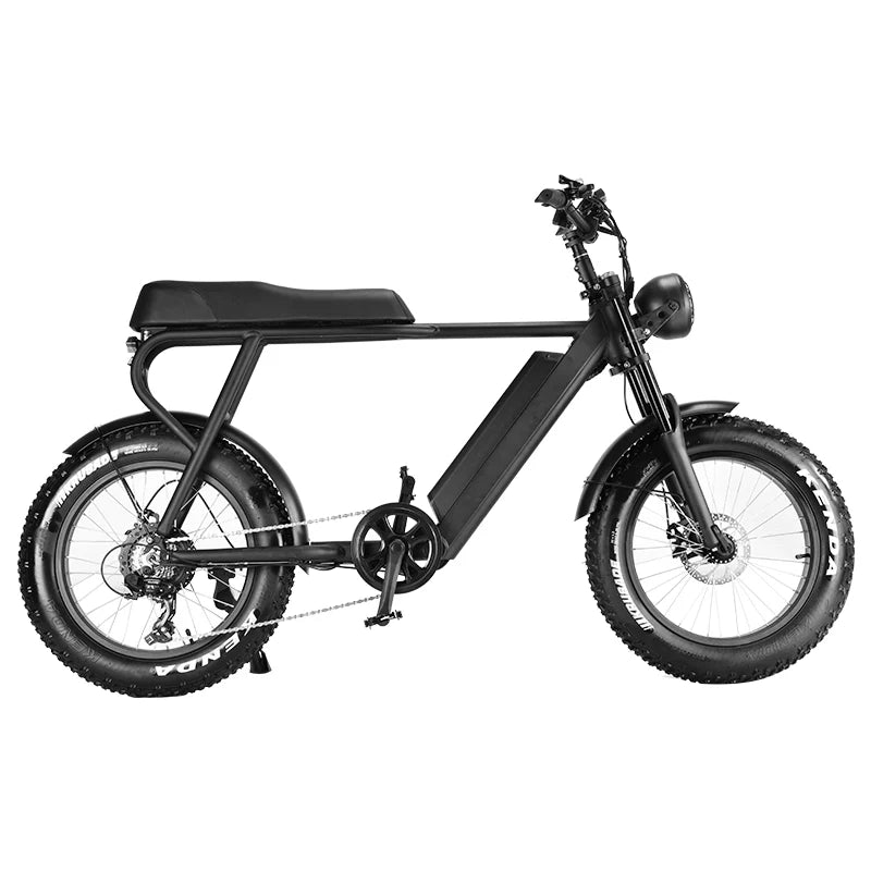 SoverSky TS75 Electric E-Bike with SideCar - eBoarders