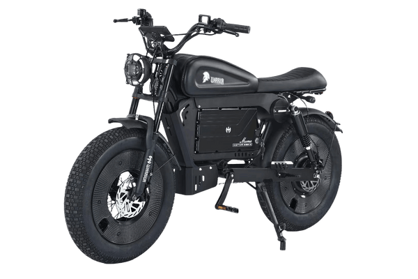ev warrior electric bicycle Knight Black Warrior Electric Bike