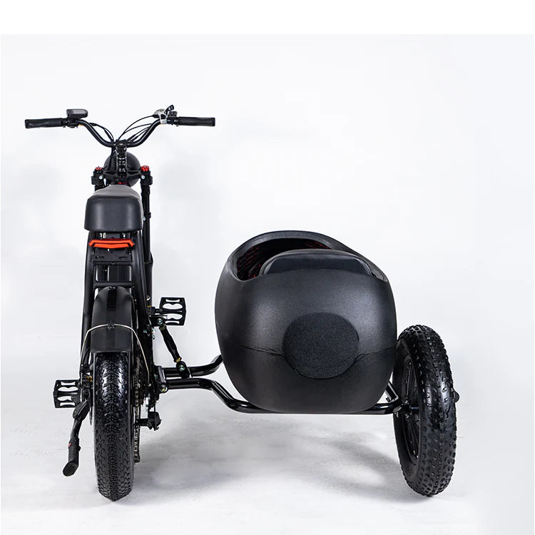 SoverSky TS75 Electric E-Bike with SideCar - eBoarders